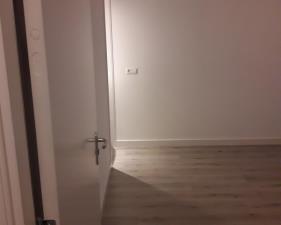 Room for rent 475 euro Suikerland, Arnhem