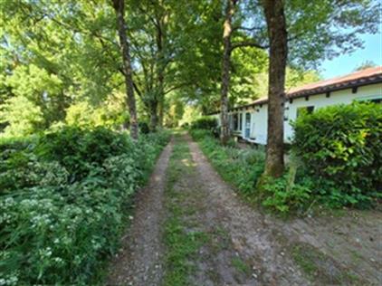 Apartment for rent 1350 euro Oudeweg, Hoogland