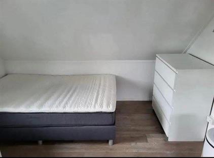 Room for rent 450 euro Verlengde Hereweg, Groningen