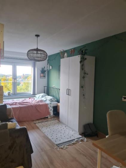 Kamer te huur 393 euro Vrijheidslaan, Leiden