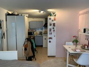 Room for rent 950 euro Graafsedwarsstraat, Nijmegen