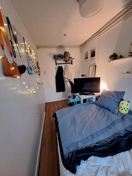 Room for rent 377 euro Dr. J.C. Hartogslaan, Arnhem