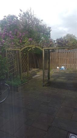 Zimmer bei Hannolaan In Utrecht