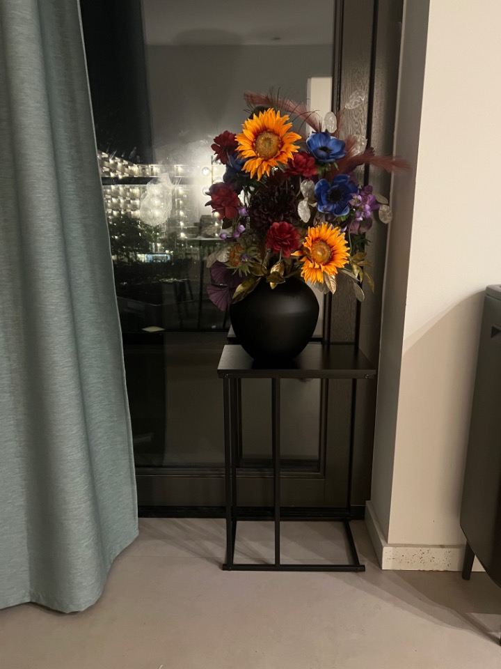 Kamer te huur in Amsterdam – IJdoornlaan – foto 2