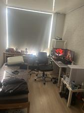 Room for rent 425 euro Frederik van Blankenheimstraat, Deventer