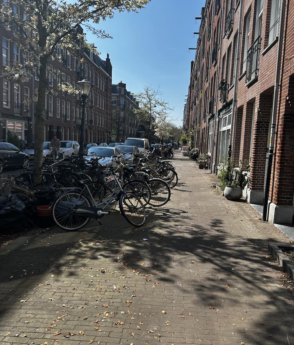 Van Hogendorpstraat