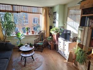 Appartement te huur 780 euro Jacob Catsstraat, Groningen