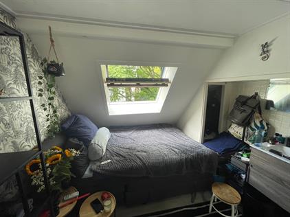 Room for rent 528 euro Zuiderpark, Groningen
