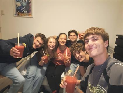 Room for rent 370 euro Tubantiasingel, Enschede