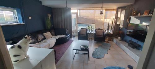 Room for rent 500 euro Den Tollstraat, Koudekerk aan den Rijn