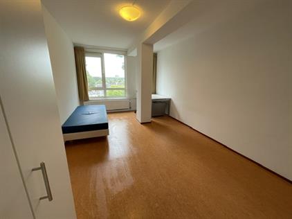 Room for rent 489 euro Stadsbrink, Wageningen