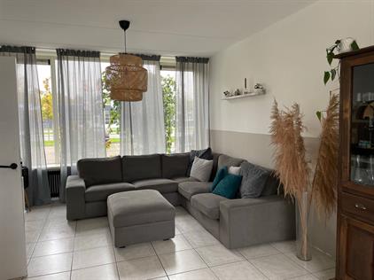 Room for rent 1000 euro Dreef, Aalsmeer