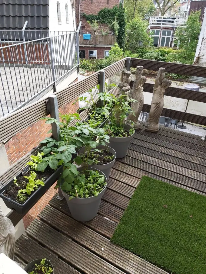 Appartement te huur aan de Praediniussingel in Groningen