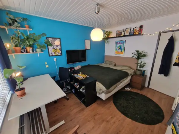 Kamer te huur aan de C. Fockstraat in Delft