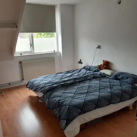 Kamer te huur aan de Havikskruid in Kampen