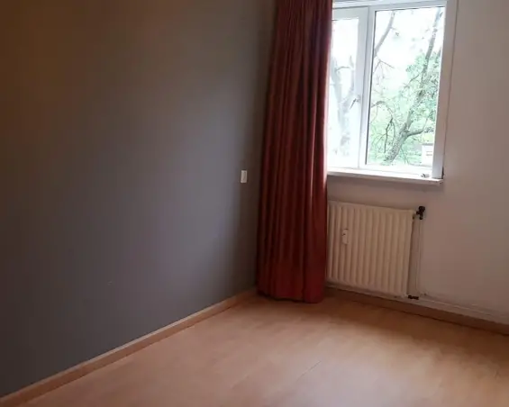 Kamer te huur aan de Maassingel in Den Bosch