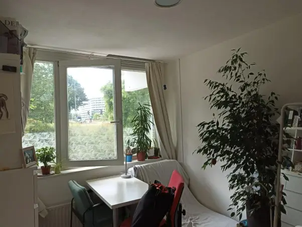 Kamer te huur aan de Hogevecht in Amsterdam