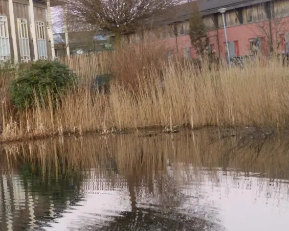 Kamer te huur aan de Waterland in Groningen