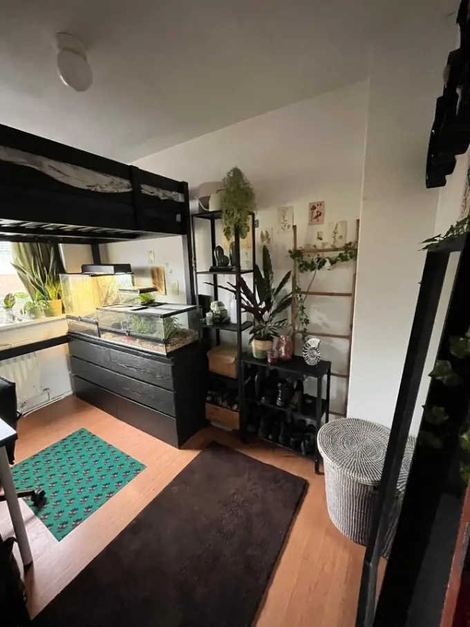 Kamer te huur aan de Radiumstraat in Groningen