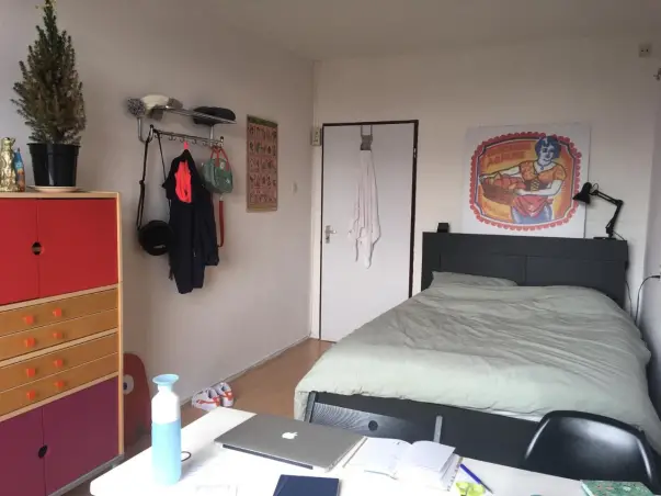 Kamer te huur aan de Pelikaanhof in Leiden