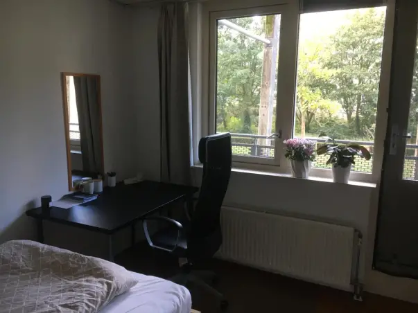 Kamer te huur aan de Hofgeest in Amsterdam