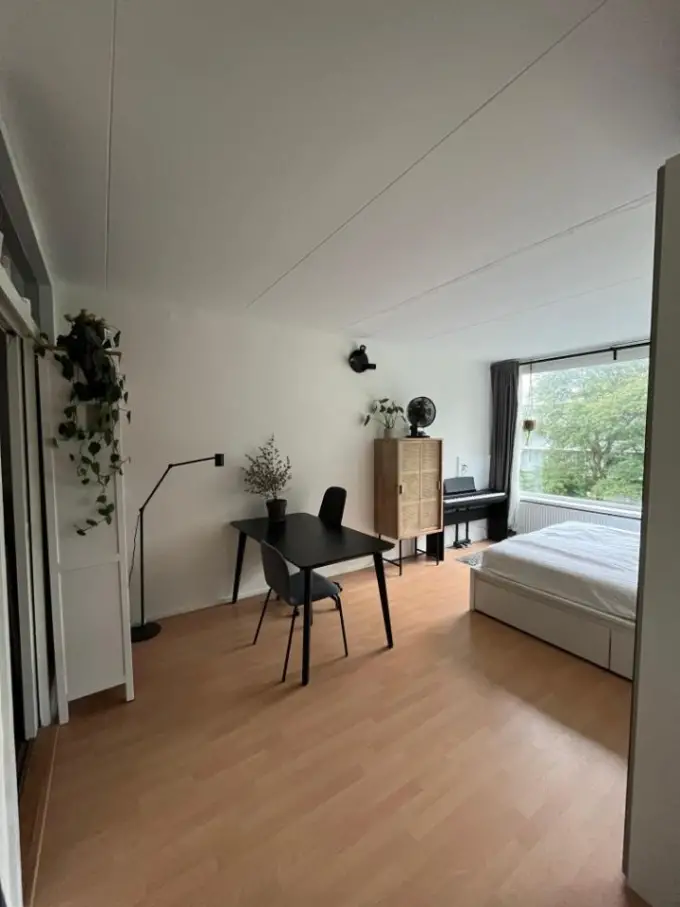 Kamer te huur aan de Wagenaarstraat in Delft