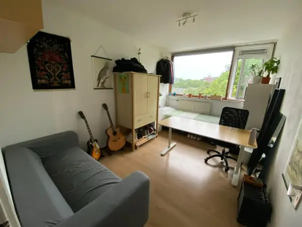 Kamer te huur aan de Roland Holstlaan in Delft