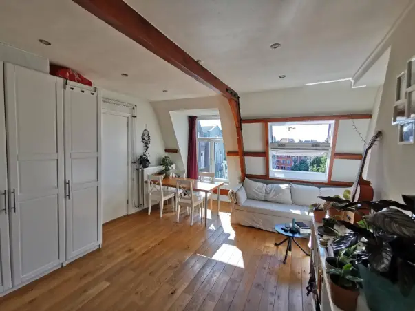 Appartement te huur aan de Ferdinand Bolstraat in Amsterdam