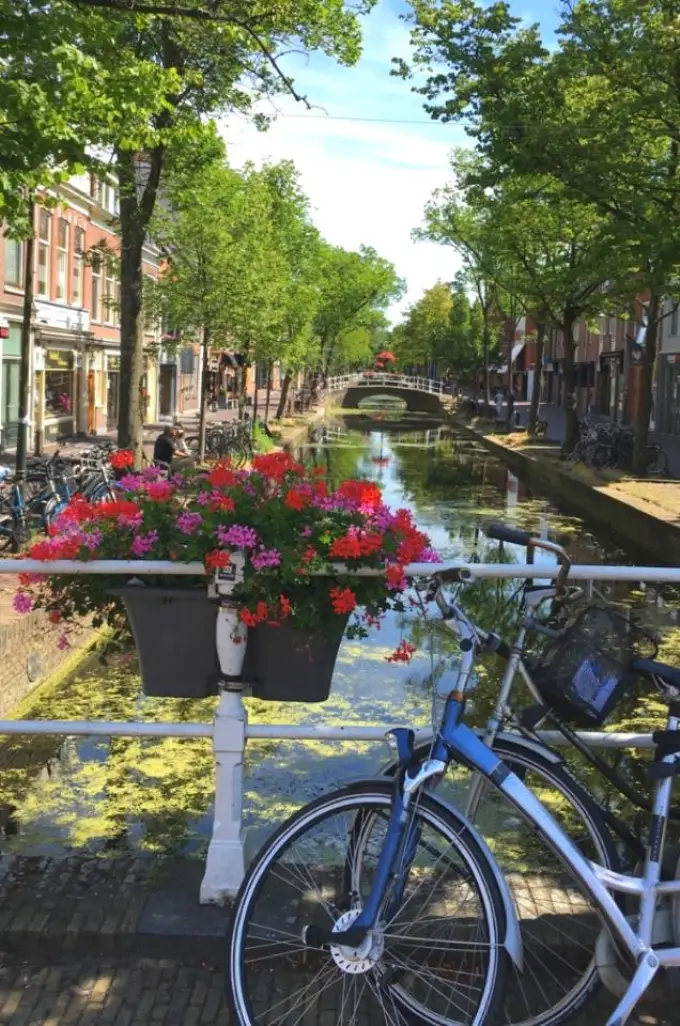 Kamer te huur aan de Molslaan in Delft