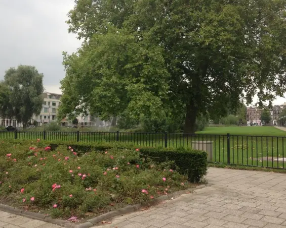 Studio te huur aan de Weteringstraat in Rotterdam