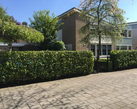 Kamer te huur aan de Van Bemmelenstraat in Nieuw-Vennep