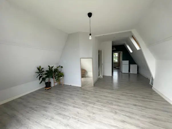 Appartement te huur aan de Bergweg in Rotterdam