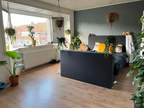 Kamer te huur aan de Parkweg in Groningen