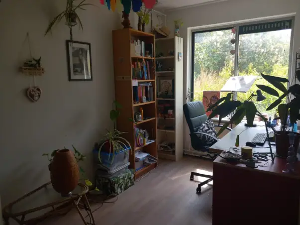 Kamer te huur aan de Borneolaan in Amsterdam