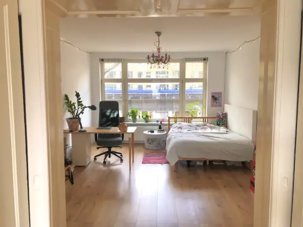 Kamer te huur aan de Mijnsherenlaan in Rotterdam