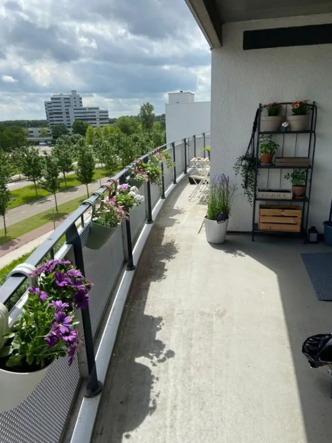 Kamer te huur aan de Duke Ellingtonstraat in Amsterdam