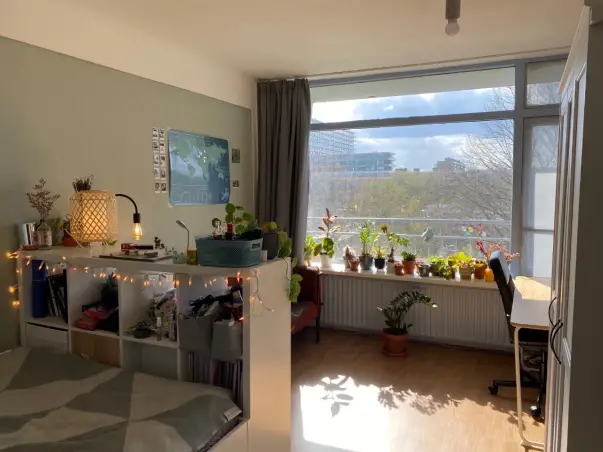 Kamer te huur aan de Louis Couperuslaan in Delft