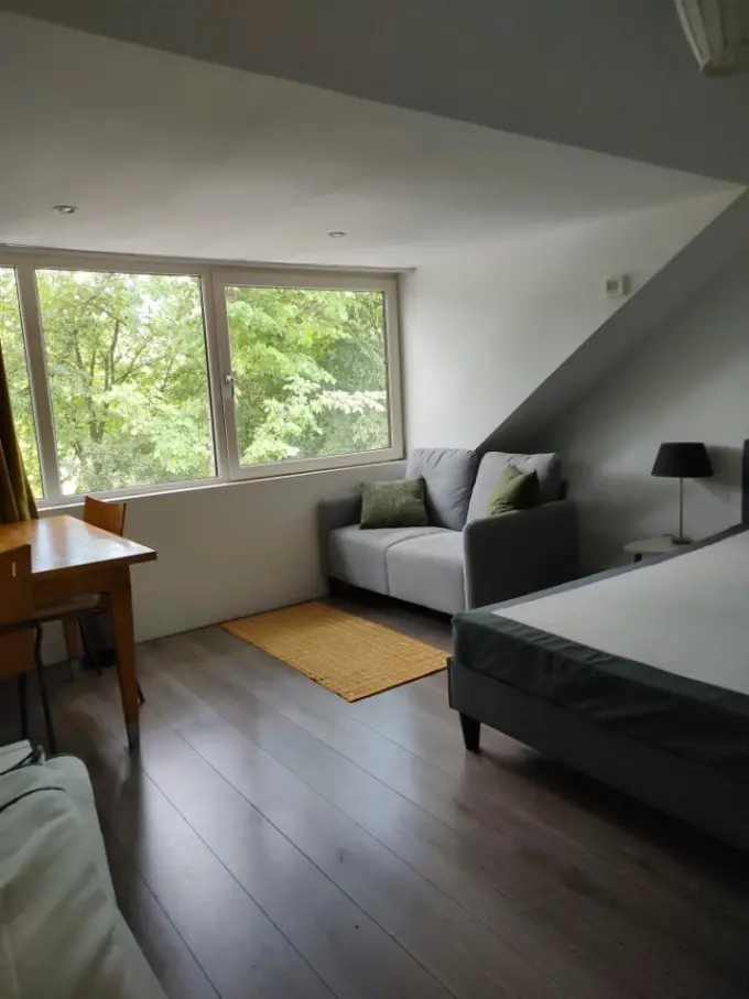 Kamer te huur aan de Adelaarsweg in Amsterdam