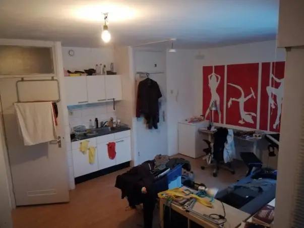 Kamer te huur aan de Hagedissingel in Delft