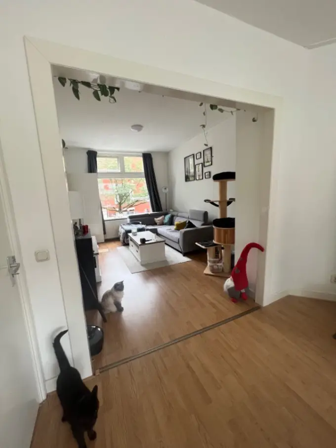 Appartement te huur aan de Professor Rankestraat in Groningen