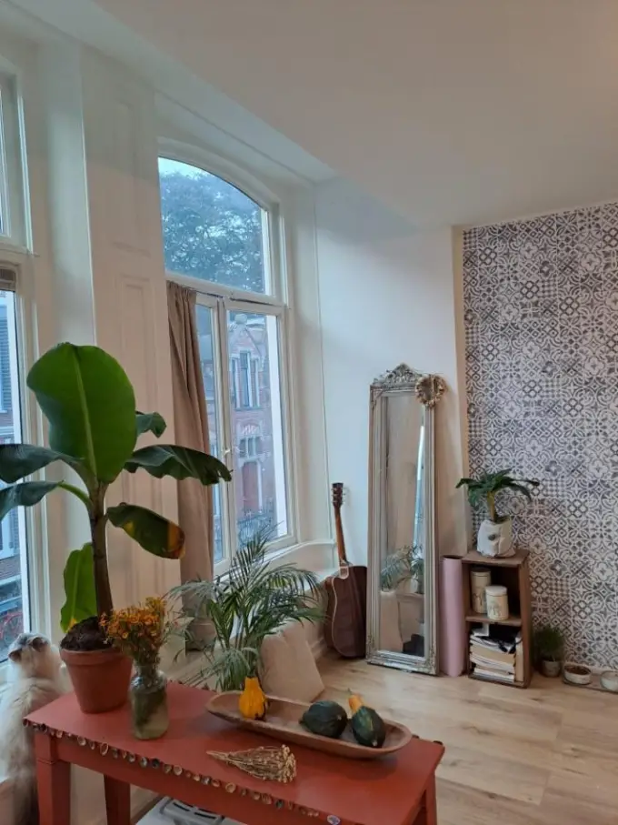 Appartement te huur aan de Marktstraat in Groningen