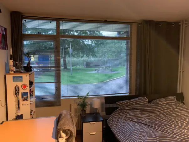 Kamer te huur aan de Van Hasseltlaan in Delft