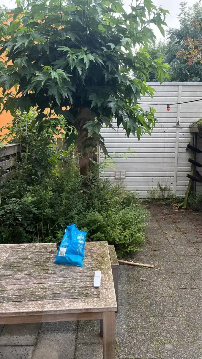 Kamer te huur aan de Floresstraat in Groningen