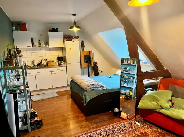 Kamer te huur aan de Boschdijk in Eindhoven