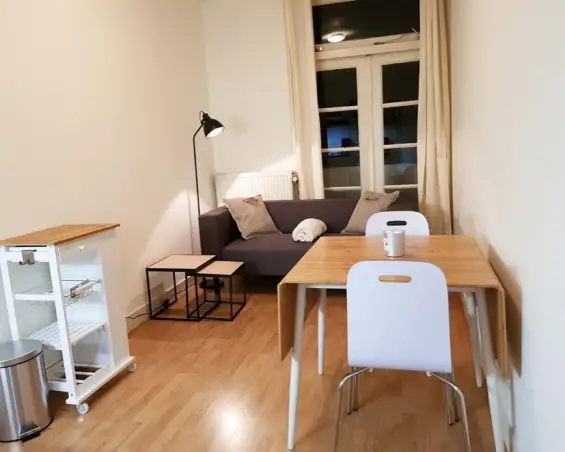 Appartement te huur aan de Van den Boschstraat in Den Haag