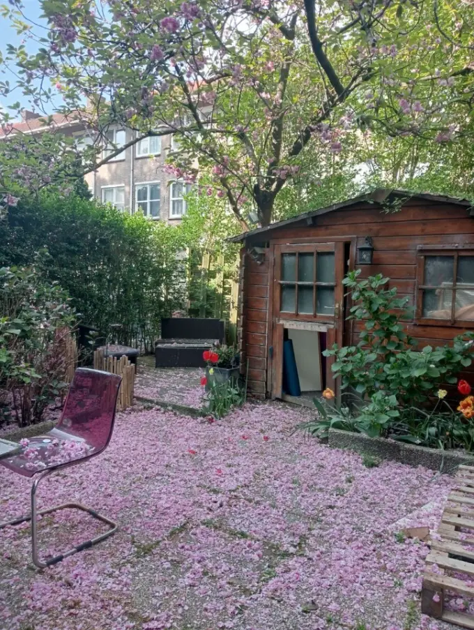 Kamer te huur aan de Lepelaarsingel in Rotterdam