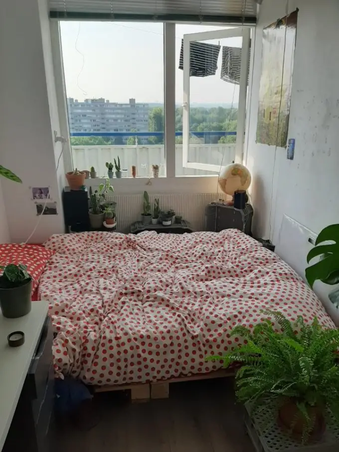 Kamer te huur aan de Menno ter Braaklaan in Delft