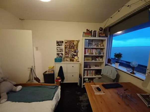 Kamer te huur aan de Livingstonelaan in Utrecht