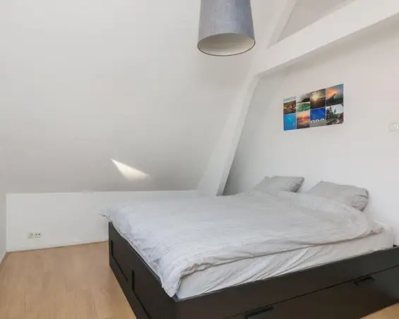 Kamer te huur aan de Beijerlandselaan in Rotterdam