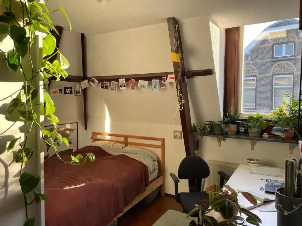 Kamer te huur aan de Herenstraat in Leiden